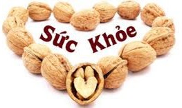 oc-cho-suc-khoe